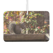 Eichhörnchen Chow Time Autolufterfrischer (Vorderseite)