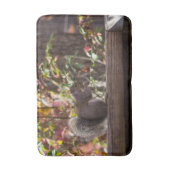 Eichhörnchen Chow Time Badematte (Vorderseite Vertikal)