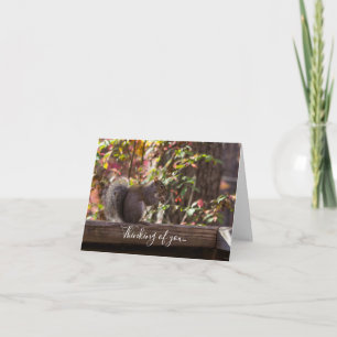 Eichhörnchen Chow Time Denken Sie an Ihre Karte