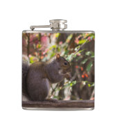 Eichhörnchen Chow Time Flachmann (Vorderseite)