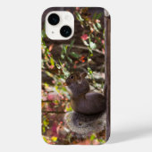 Eichhörnchen Chow Time iPhone Case (Rückseite)