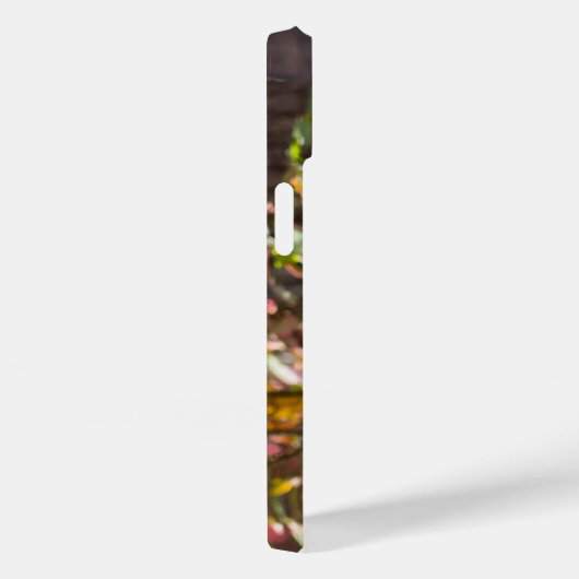 Eichhörnchen Chow Time iPhone Case (Rückseite / Rechts)