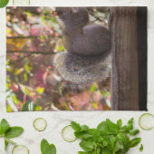 Eichhörnchen Chow Time Küchentuch (Gefaltet)