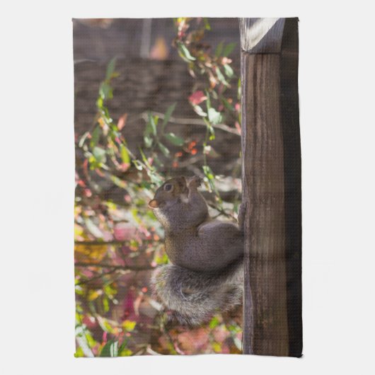 Eichhörnchen Chow Time Küchentuch (Vertikal)