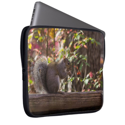 Eichhörnchen Chow Time Laptopschutzhülle (Vorne Rechts)