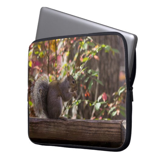 Eichhörnchen Chow Time Laptopschutzhülle (Vorderseite Links)