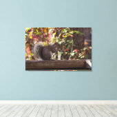 Eichhörnchen Chow Time Leinwanddruck (Insitu (Holzboden))