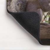 Eichhörnchen Chow Time Mousepad (Ecke)