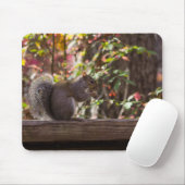 Eichhörnchen Chow Time Mousepad (Mit Mouse)