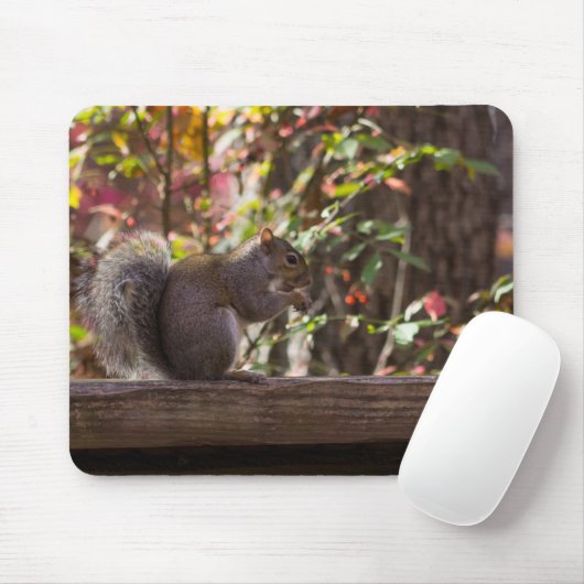 Eichhörnchen Chow Time Mousepad (Mit Mouse)