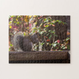 Eichhörnchen Chow Time Puzzle