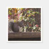 Eichhörnchen Chow Time Serviette (Vorderseite)