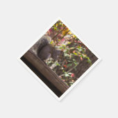 Eichhörnchen Chow Time Serviette (Ecke)