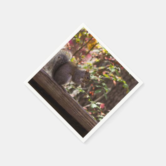 Eichhörnchen Chow Time Serviette (Ecke)