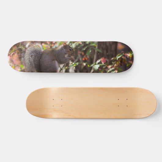 Eichhörnchen Chow Time Skateboard (Horizontal)