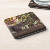 Eichhörnchen Chow Time Untersetzer (Linke Seite)