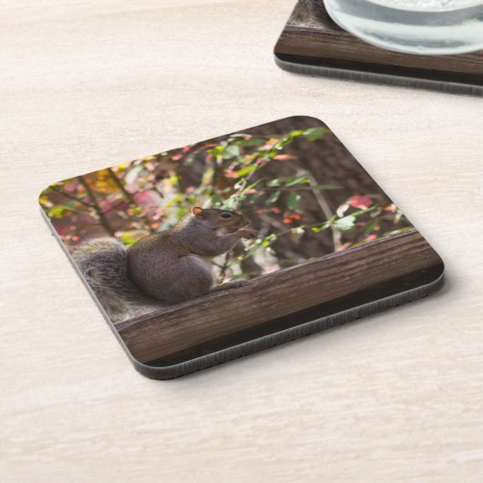 Eichhörnchen Chow Time Untersetzer (Linke Seite)