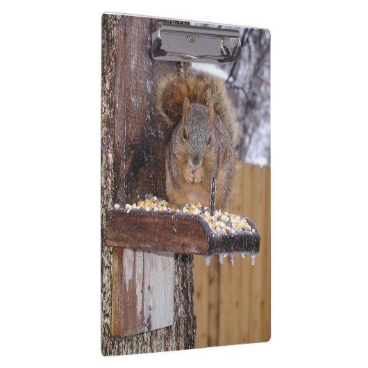 Eichhörnchen Clipboard Klemmbrett (Rechts)