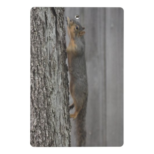 Eichhörnchen Clipboard Mini Klemmbrett (Rückseite)
