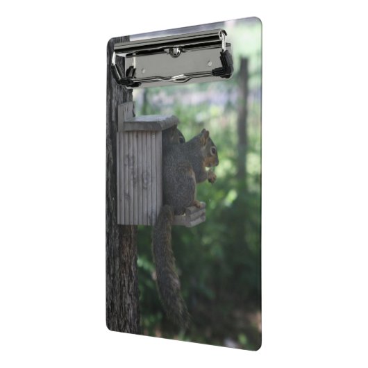 Eichhörnchen Clipboard Mini Klemmbrett (Gewinkelt2)