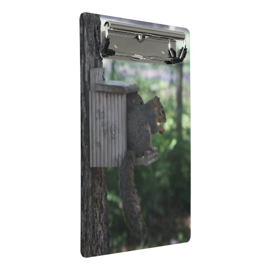 Eichhörnchen Clipboard Mini Klemmbrett (Schrägansicht)