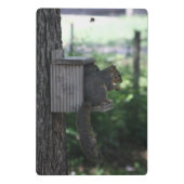 Eichhörnchen Clipboard Mini Klemmbrett (Rückseite)