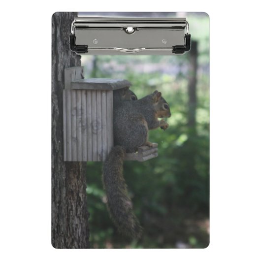 Eichhörnchen Clipboard Mini Klemmbrett (Vorderseite)