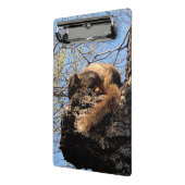 Eichhörnchen Clipboard Mini Klemmbrett (Gewinkelt2)