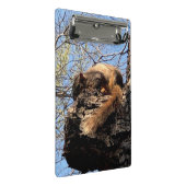 Eichhörnchen Clipboard Mini Klemmbrett (Schrägansicht)