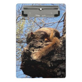 Eichhörnchen Clipboard Mini Klemmbrett (Vorderseite)