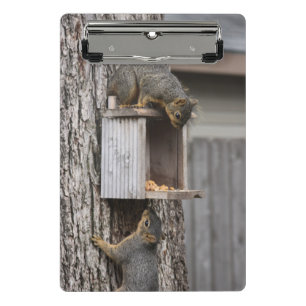 Eichhörnchen-Clips Mini Klemmbrett