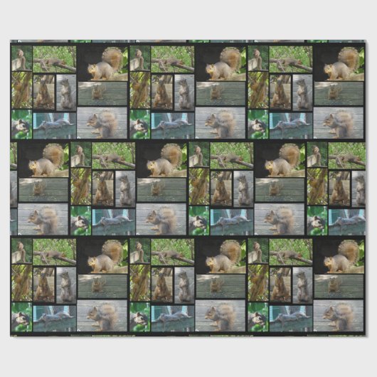 Eichhörnchen-Collage Geschenkwrap Geschenkpapier (Flach)