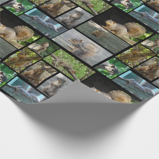 Eichhörnchen-Collage Geschenkwrap Geschenkpapier (Ecke)