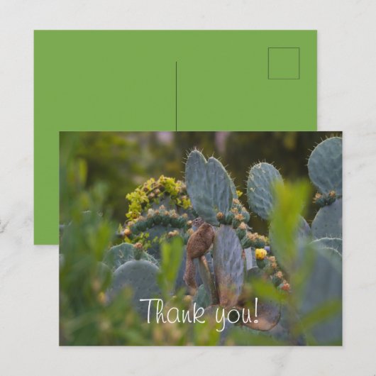 Eichhörnchen Danke Karte (Vorne/Hinten)