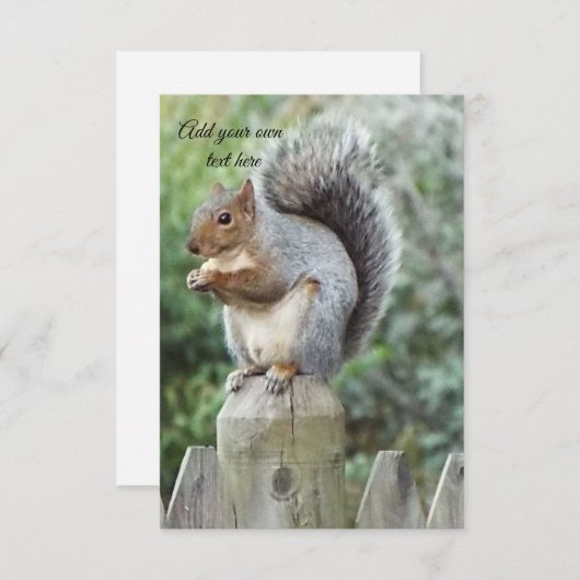 Eichhörnchen Dankeskarte (Vorne/Hinten)