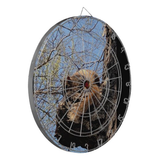 Eichhörnchen Dartboard Dartscheibe (Vorderseite Links)