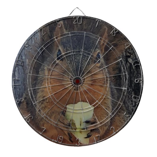 Eichhörnchen Dartscheibe (vorne)