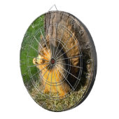 Eichhörnchen, Dartscheibe (Vorderseite rechts)