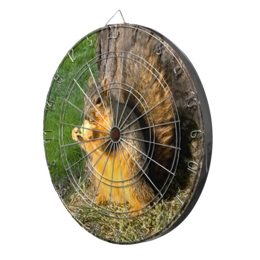 Eichhörnchen, Dartscheibe (Vorderseite rechts)