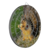 Eichhörnchen, Dartscheibe (Vorderseite Links)