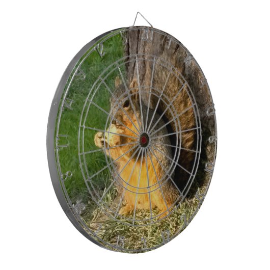 Eichhörnchen, Dartscheibe (Vorderseite Links)