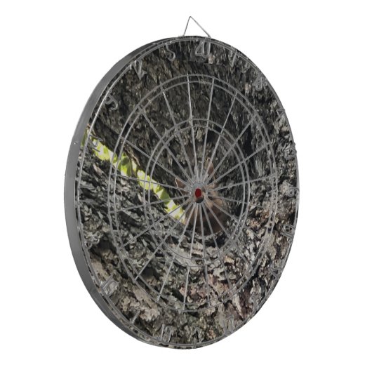 Eichhörnchen Dartscheibe (Vorderseite Links)