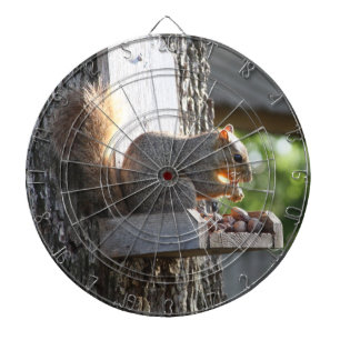 Eichhörnchen Dartscheibe