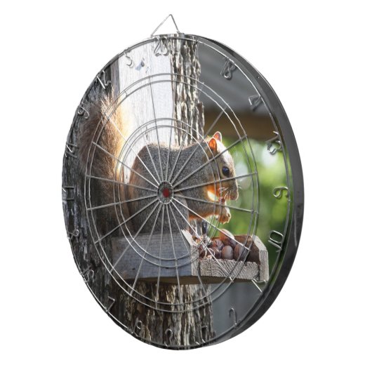 Eichhörnchen Dartscheibe (Vorderseite rechts)