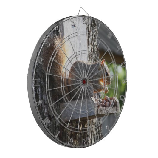 Eichhörnchen Dartscheibe (Vorderseite Links)