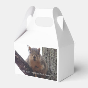 Eichhörnchen, das auf deine Geschenkboxen schaut Geschenkschachtel