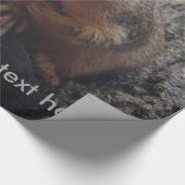 Eichhörnchen, das auf Ihr Packpapier schaut (Ecke)