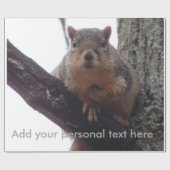 Eichhörnchen, das auf Ihr Packpapier schaut (Flach)