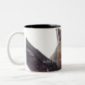 Eichhörnchen, das auf Ihre Kaffeetasse schaut (Links)