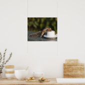 Eichhörnchen, das aus einer Kaffeetasse in Indien  Poster (Küche)